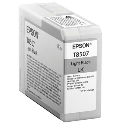 Зображення Картридж cтруменевий Epson SureColor SC-P800 light black (C13T850700)
