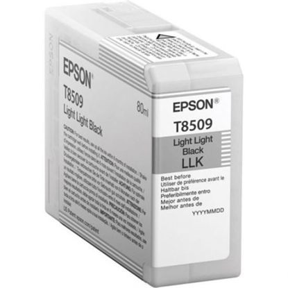 Зображення Картридж cтруменевий Epson SureColor SC-P800 light light black (C13T850900)