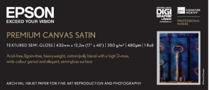 Зображення Папір Epson Premum Canvas Satin, 350 г/м2, 17" x 12.2 м (C13S041846)